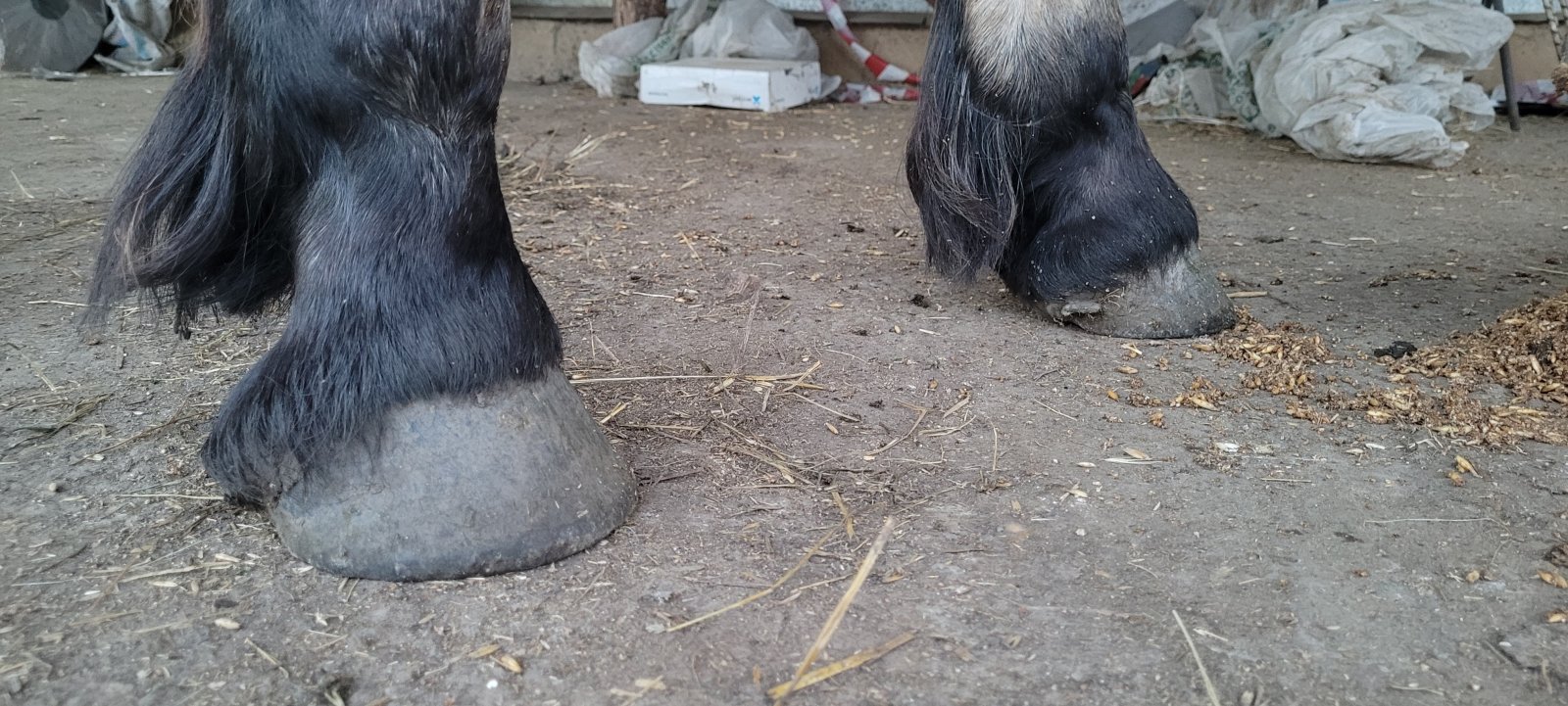 20220629_201504.jpg