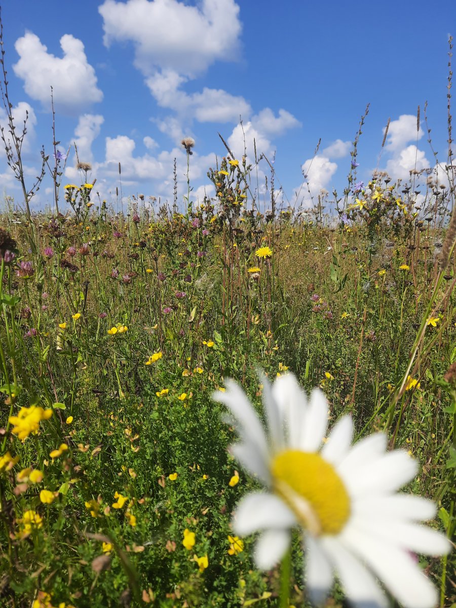 20220803_101723.jpg