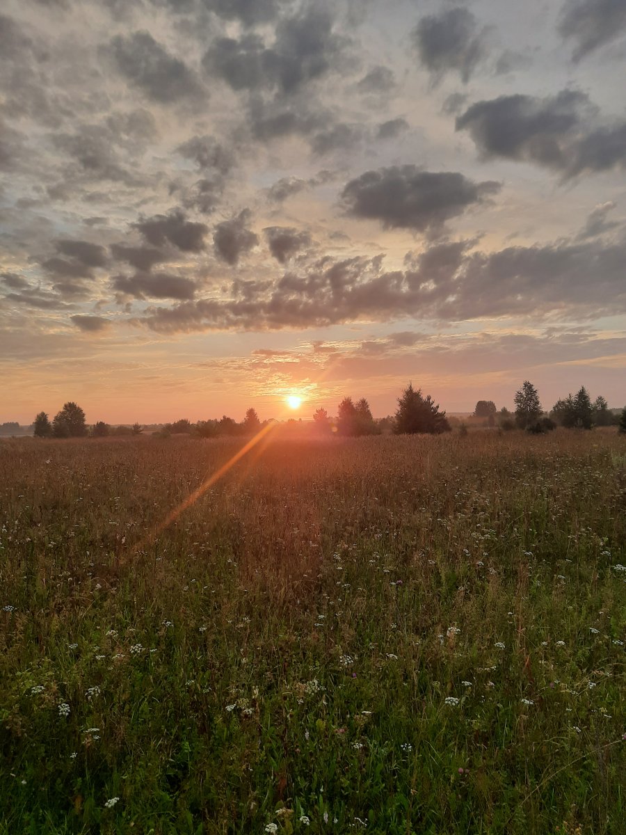 20220804_041736.jpg
