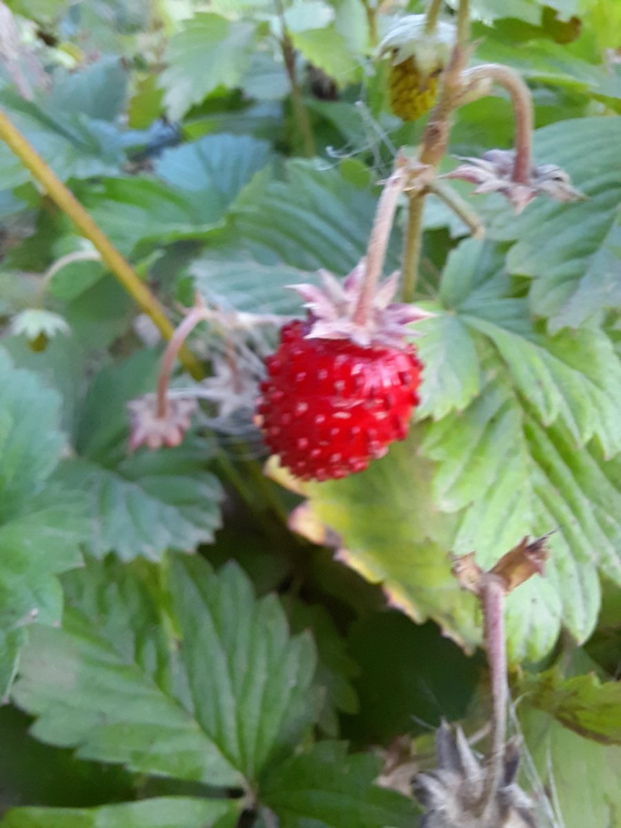 20220806_195722.jpg