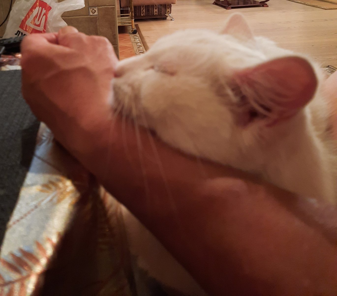 20220806_234017.jpg