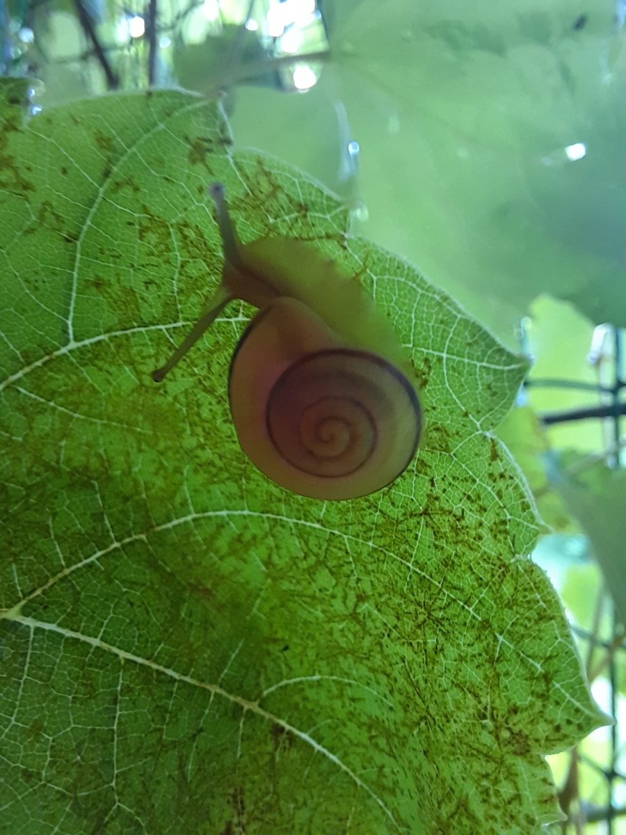 20220807_174620.jpg