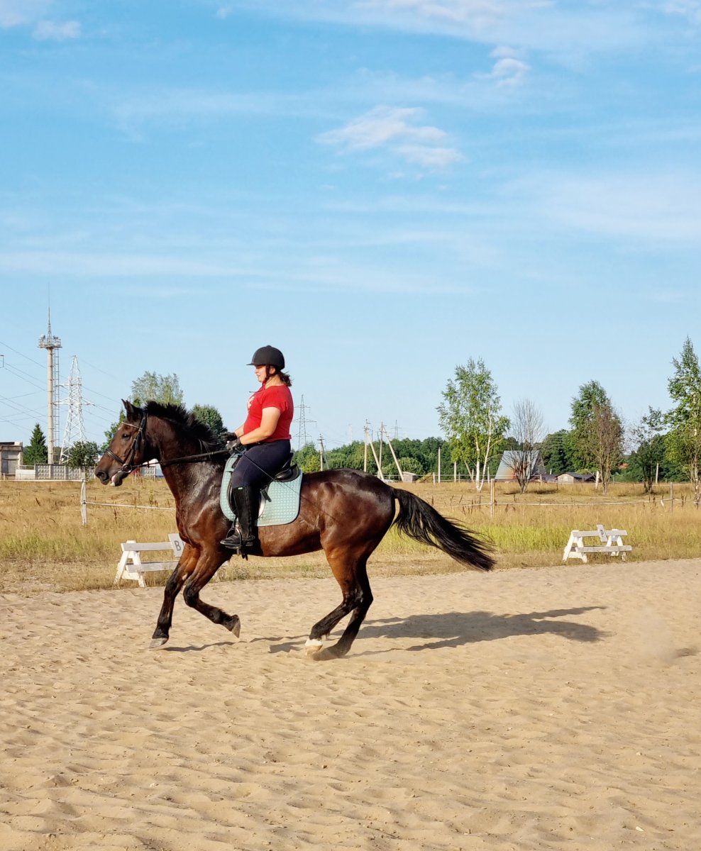 20220819_173819(0).jpg