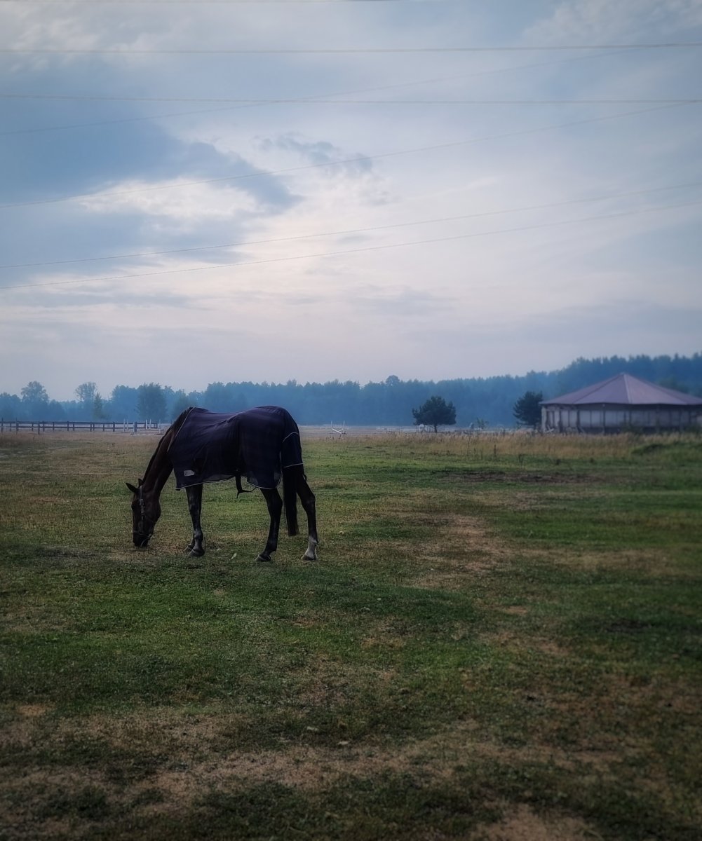 20220822_081631-01.jpeg