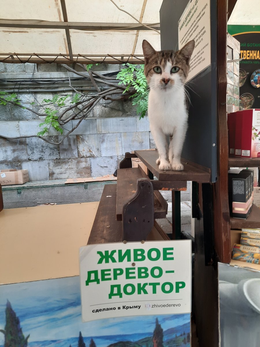 20220912_152034.jpg
