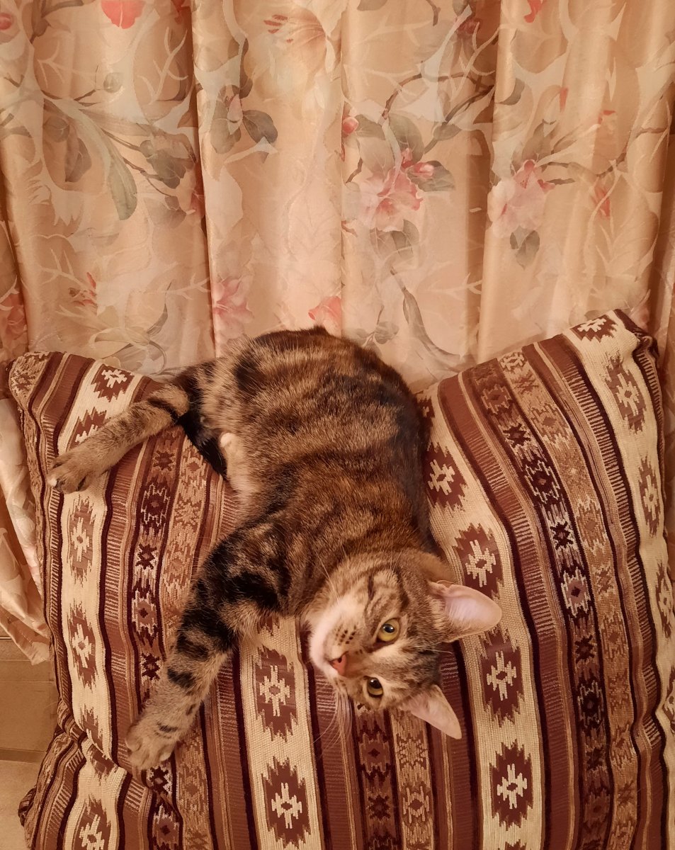 20221008_195800.jpg