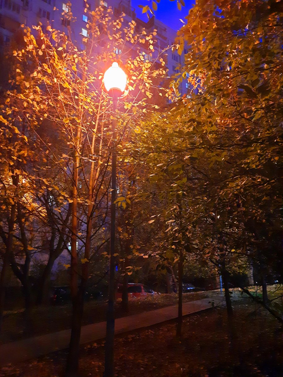 20221013_181712.jpg