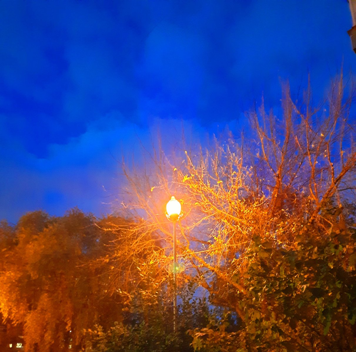 20221013_181826.jpg