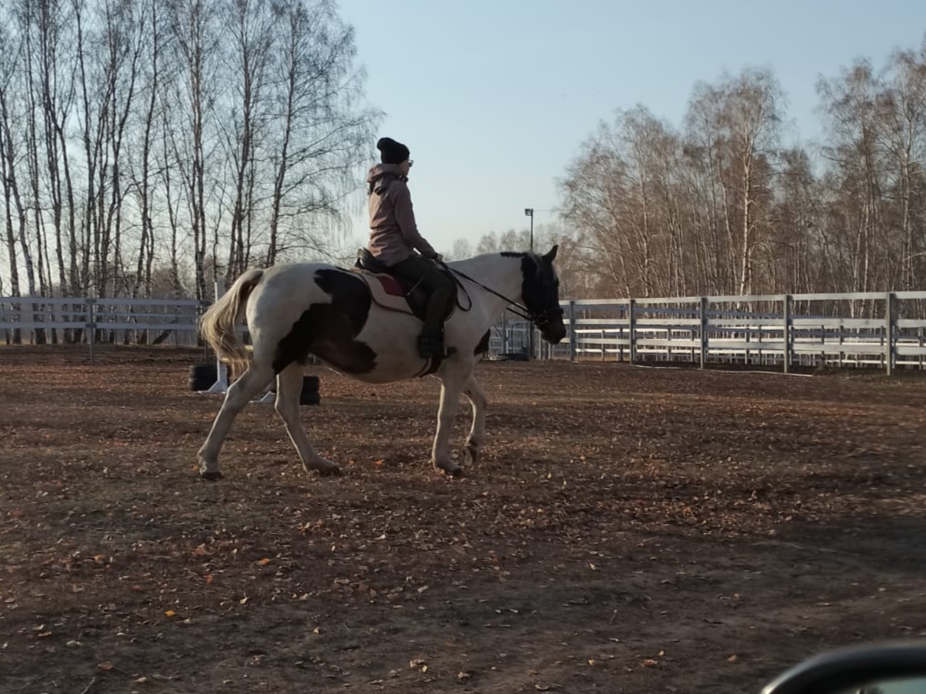 20221019_190632.jpg