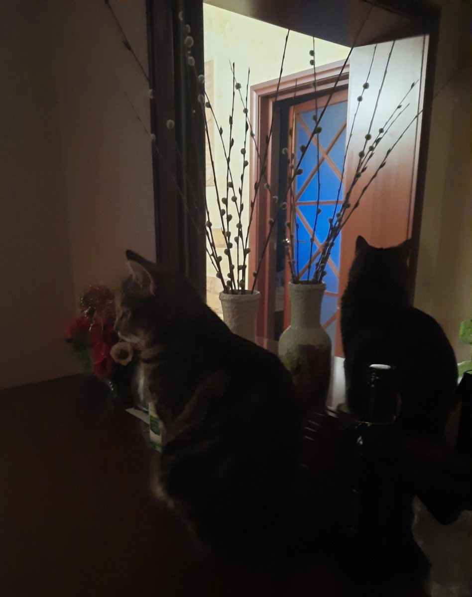20221022_230816.jpg