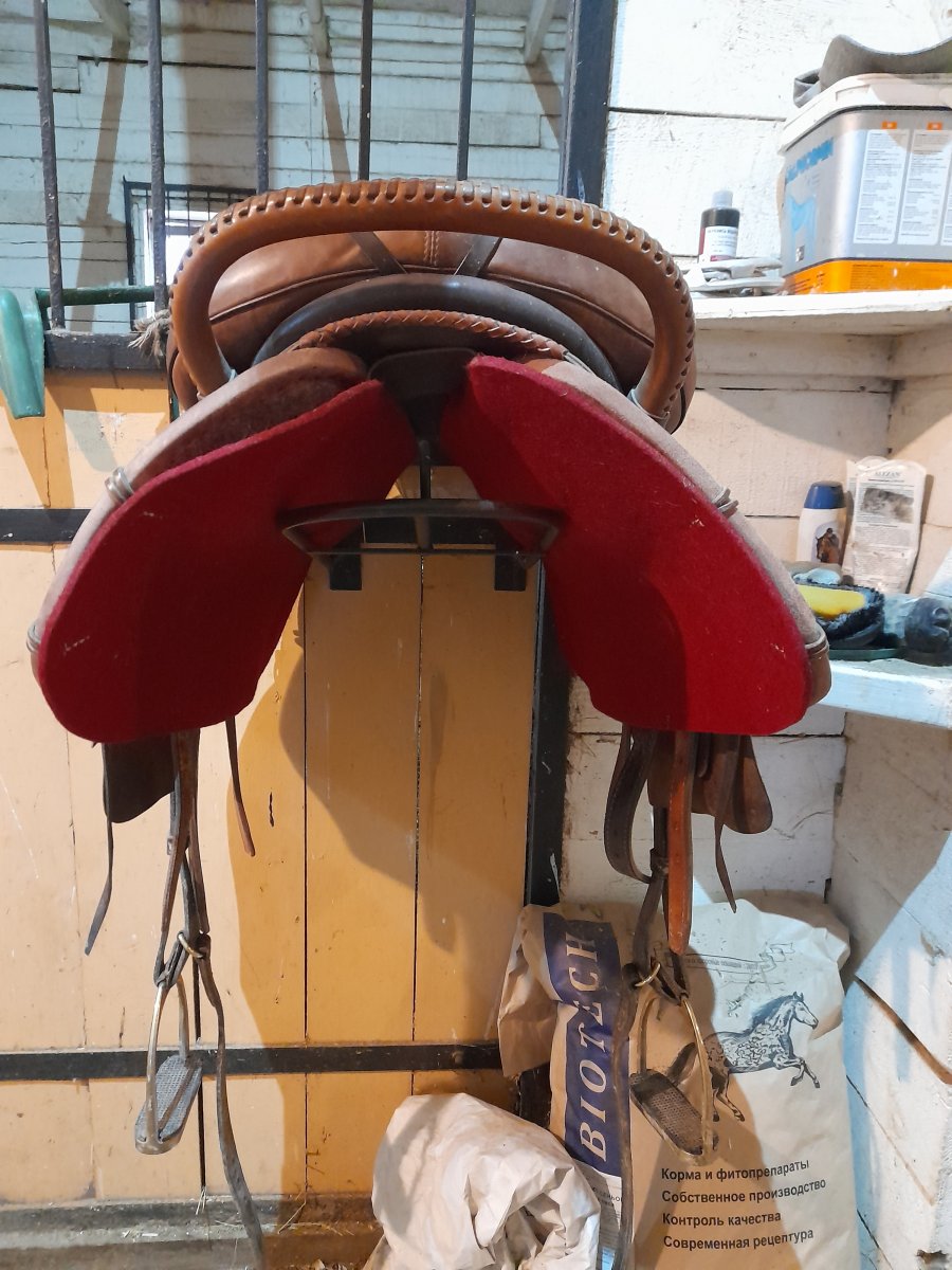 20221111_123202.jpg 20221111_123202.jpg