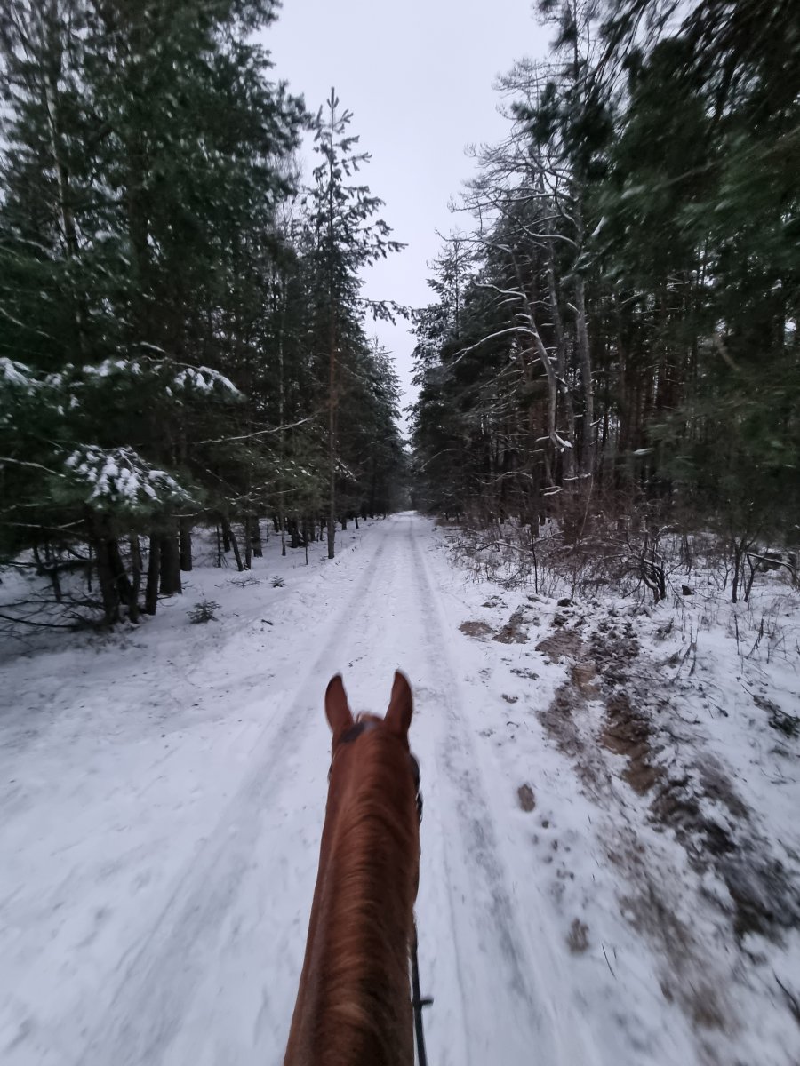 20221128_083413.jpg