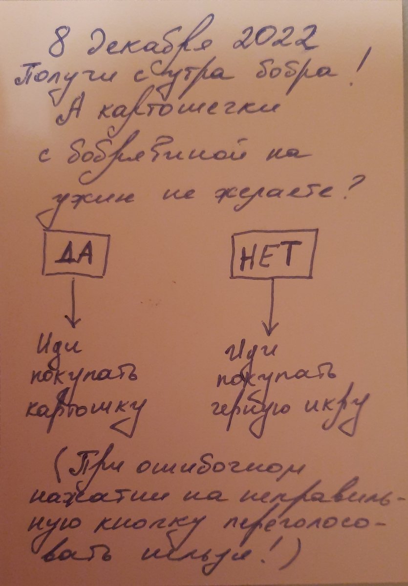 20221208_001054.jpg
