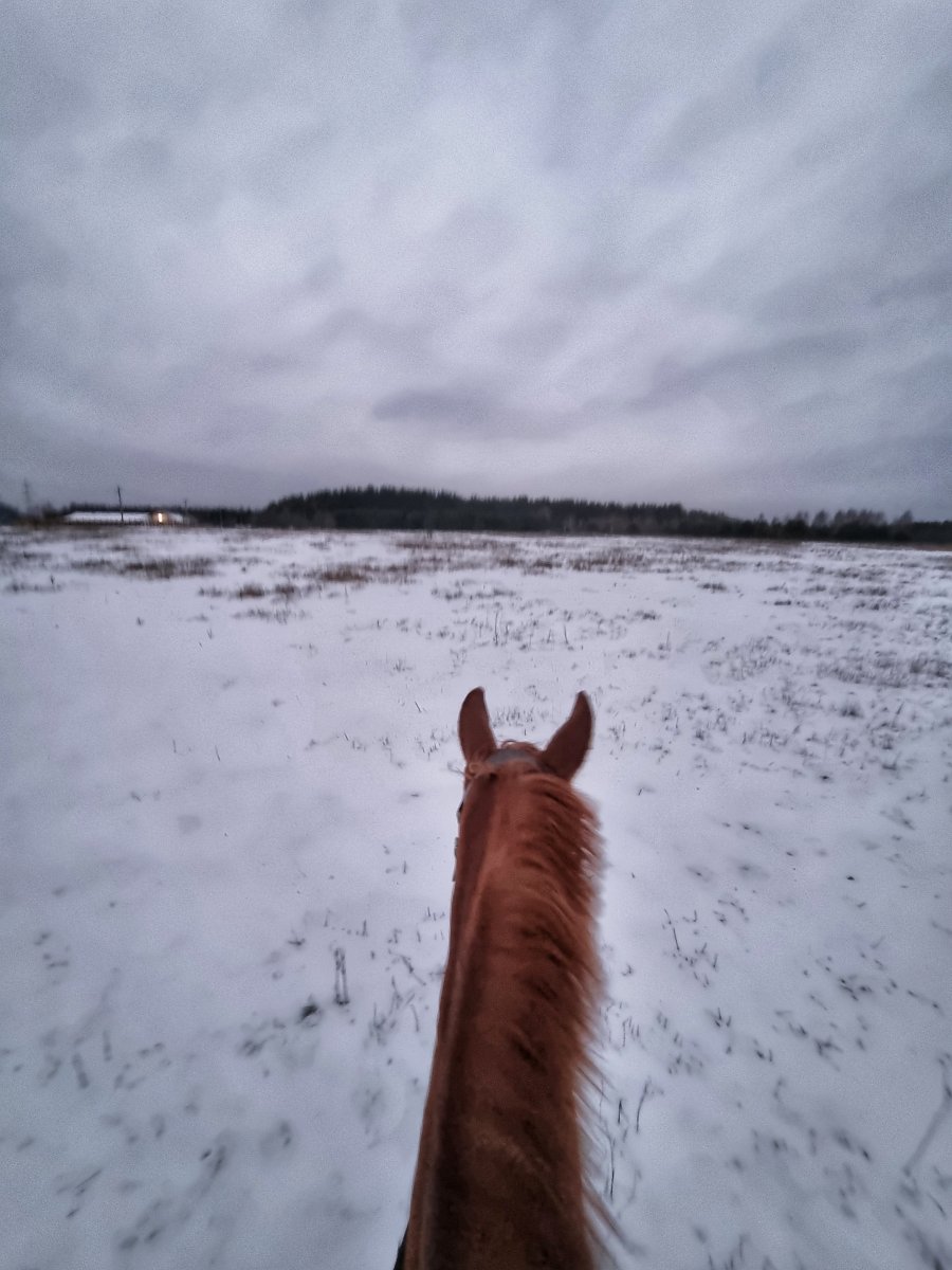 20221208_082109-01.jpeg