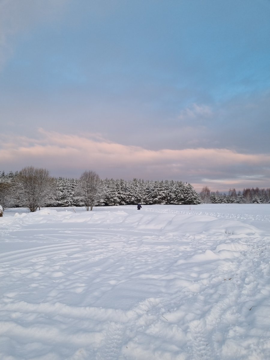 20221229_091531.jpg
