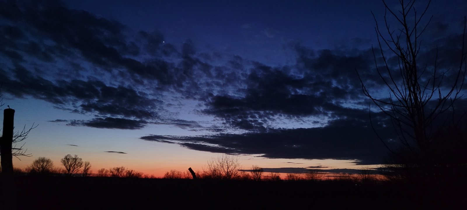 2023-03-08 18-56-25.JPG