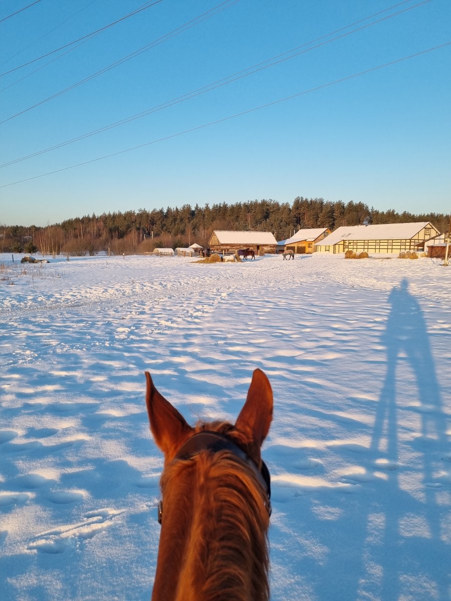 20230106_093651.jpg