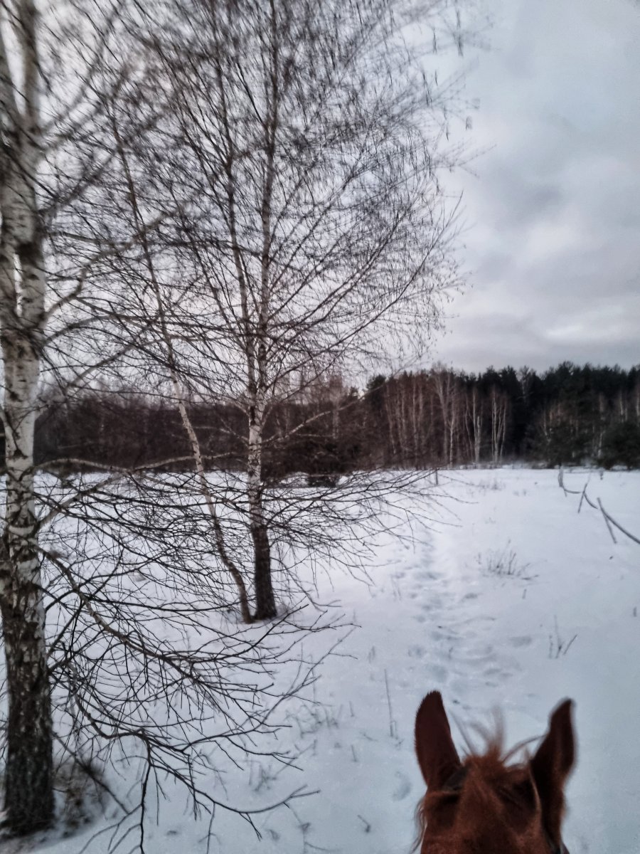 20230108_082442-01.jpeg