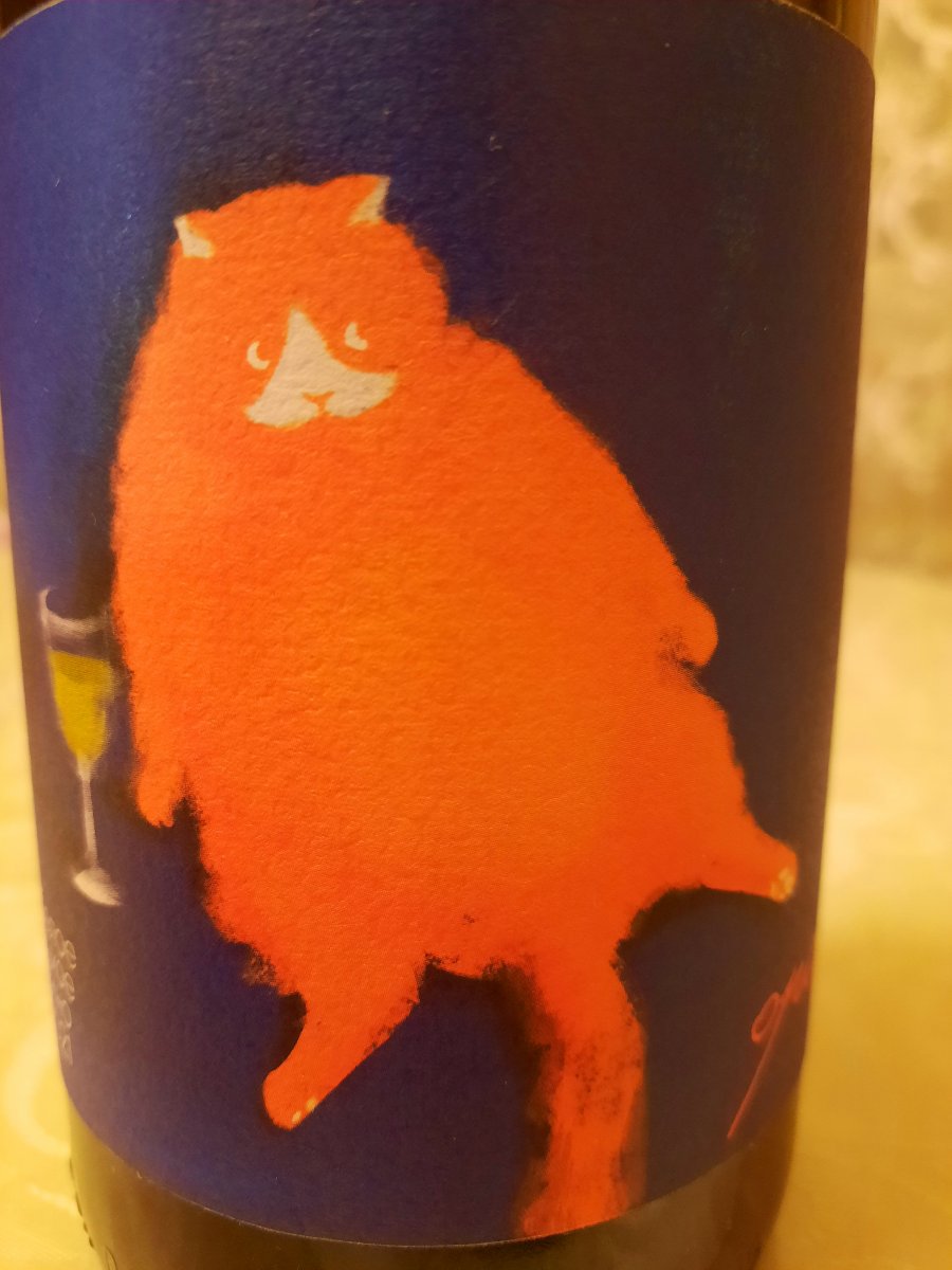 20230120_185452.jpg