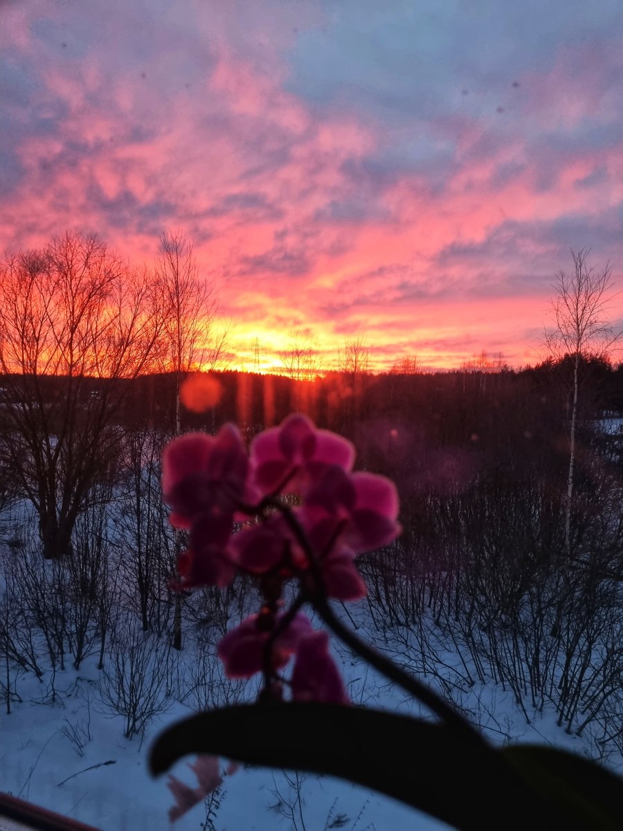 20230121_165629-01.jpeg