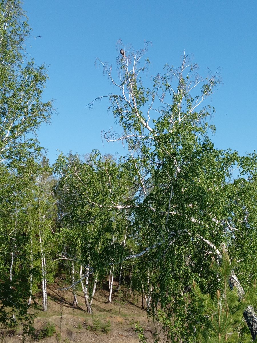 20230520_174655.jpg