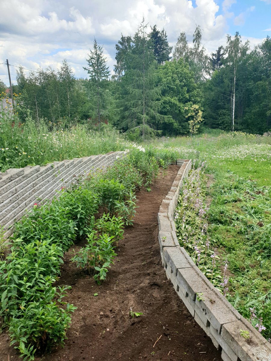20230720_143454.jpg