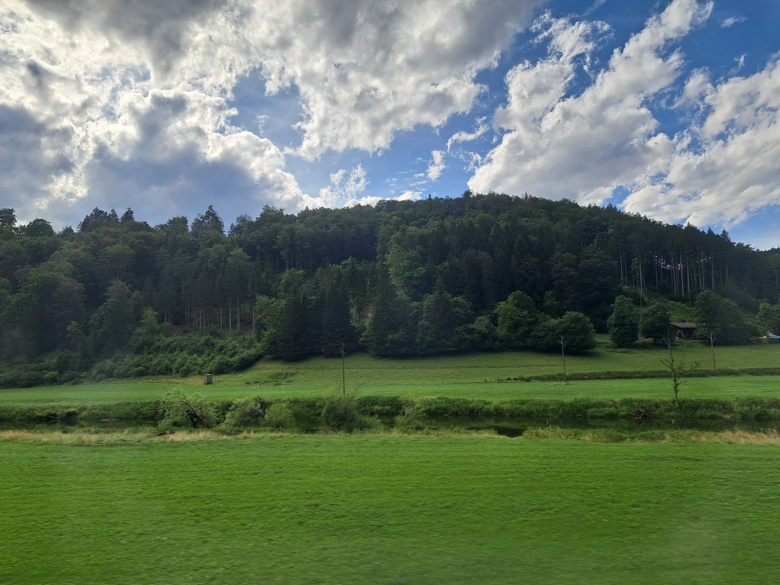 20230720_165052.jpg