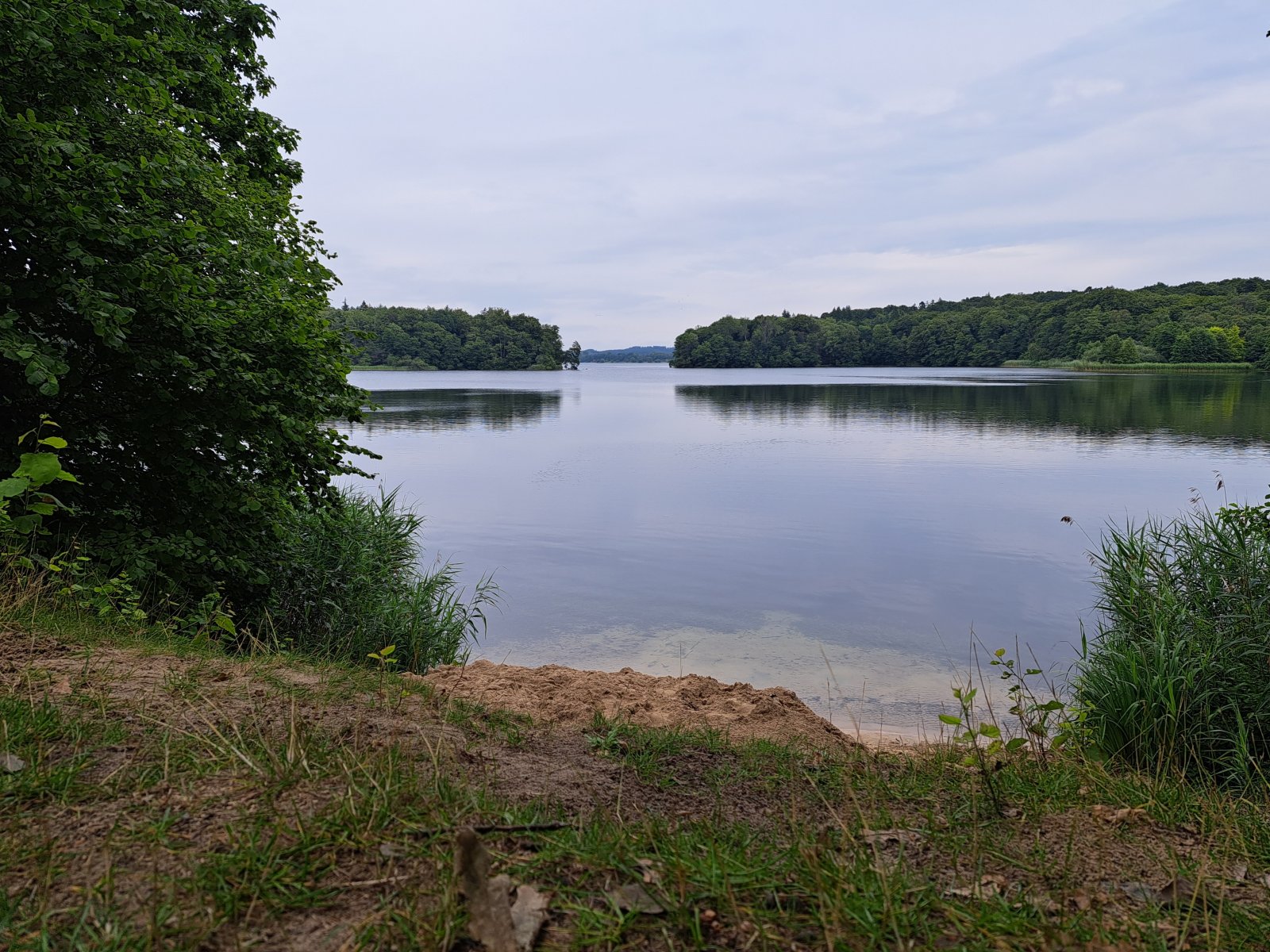 20230724_111307.jpg