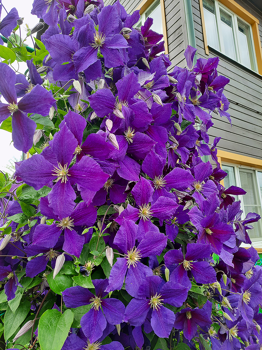 20230802_152731_а.jpg