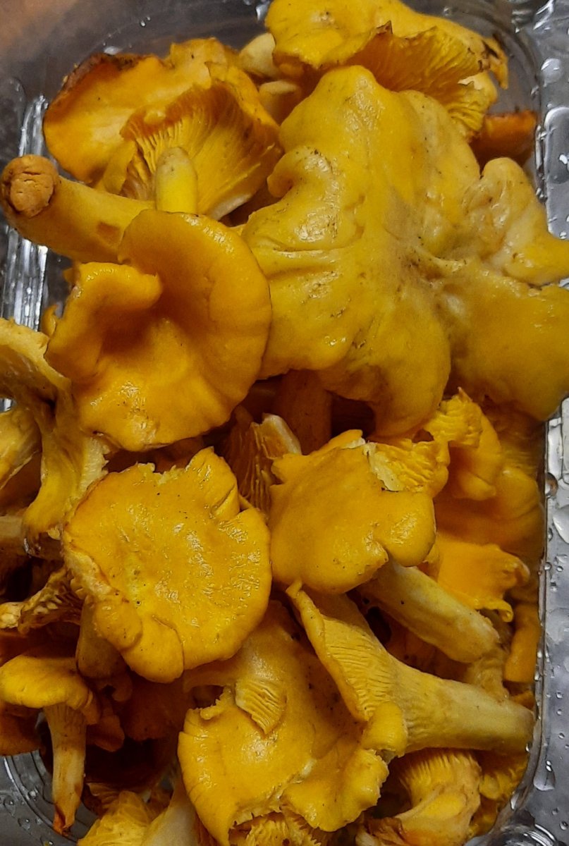 20230818_193222.jpg