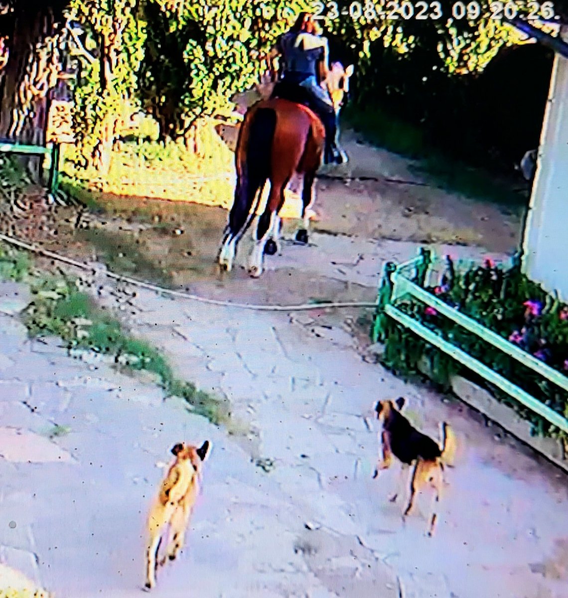 20230823_103807.jpg