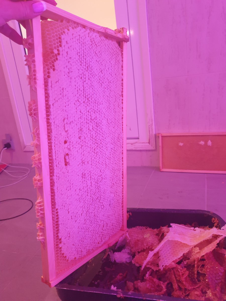 20230907_185512.jpg