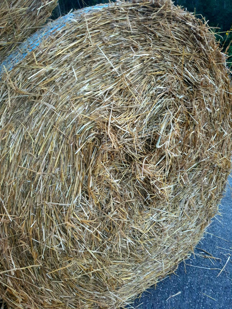 20230912_201301.jpg