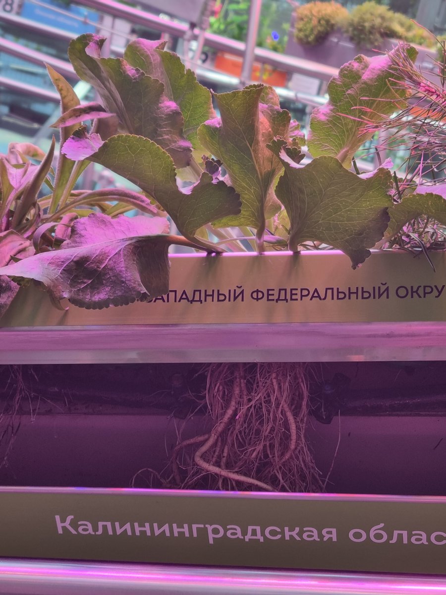 20230928_111108.jpg
