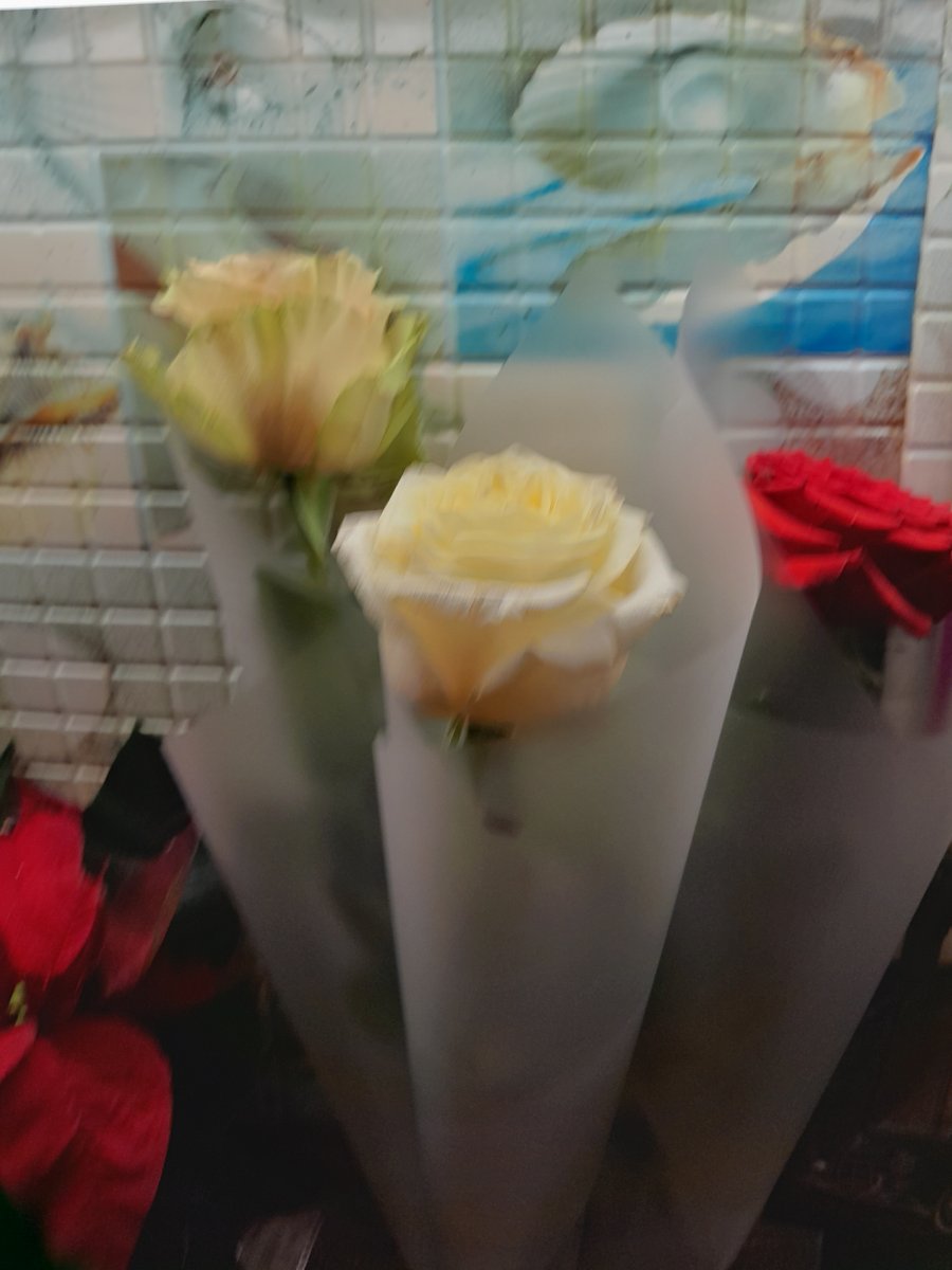 20231126_225913.jpg