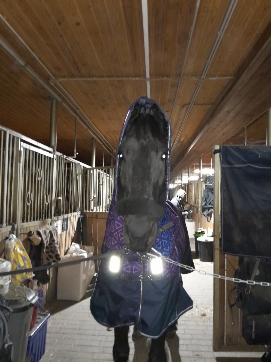 20231207_172930.jpg