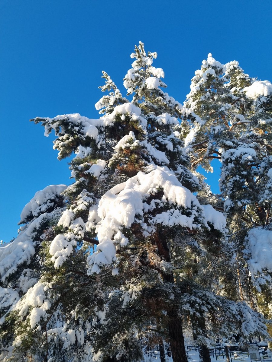 20231225_133227.jpg