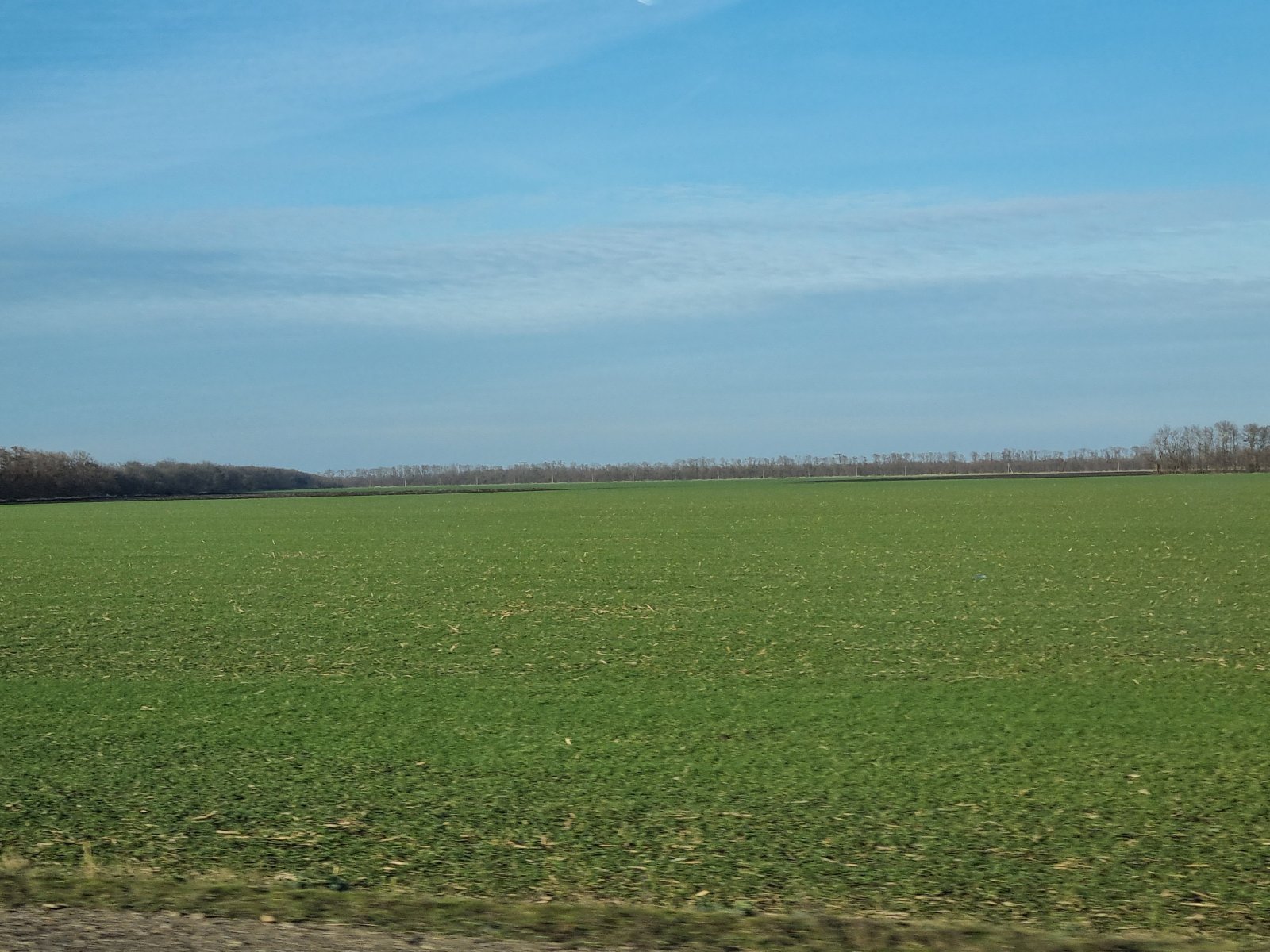 20240106_150530.jpg