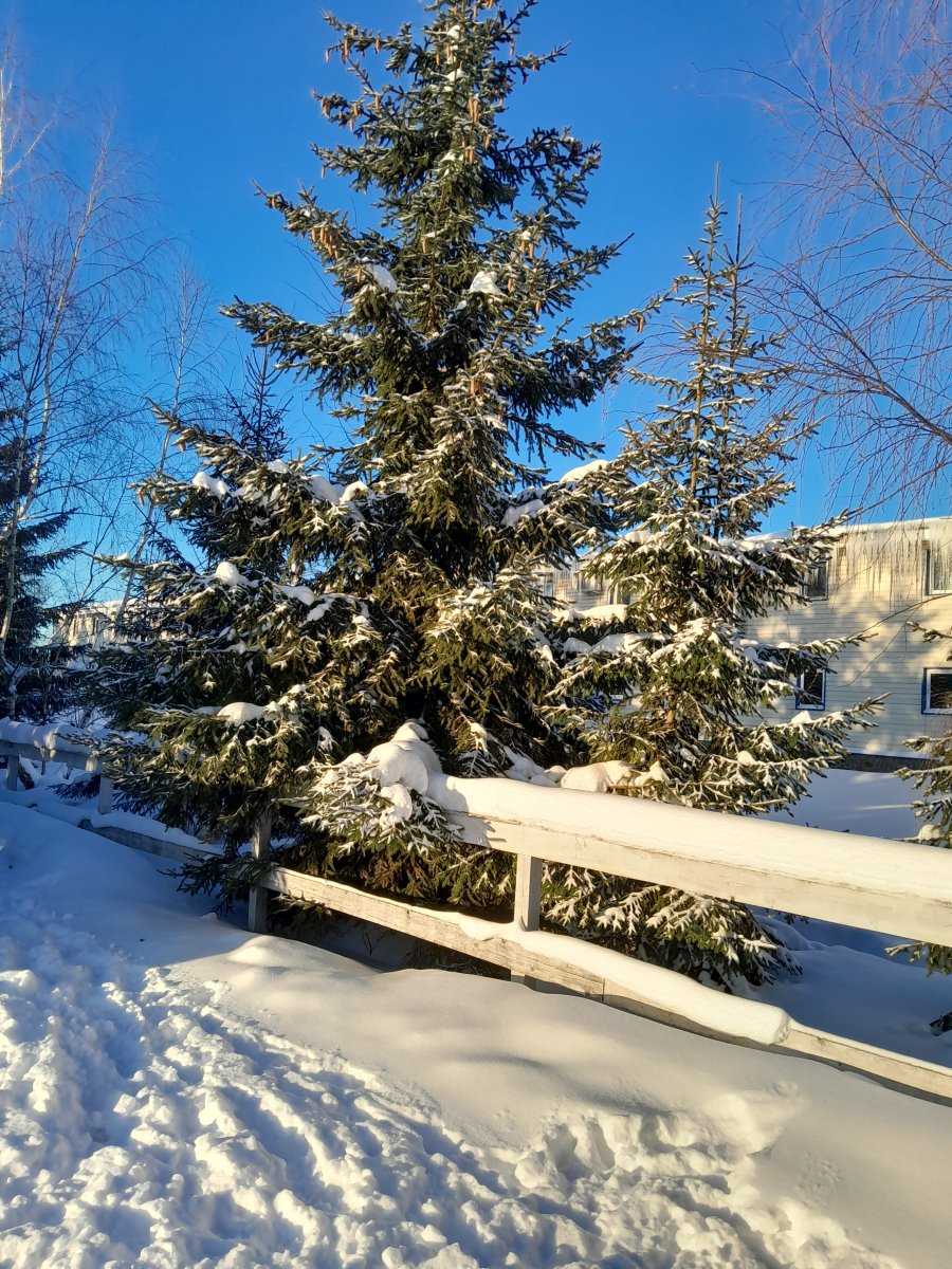 20240119_152120.jpg