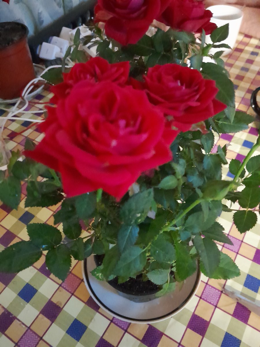 20240120_222635.jpg