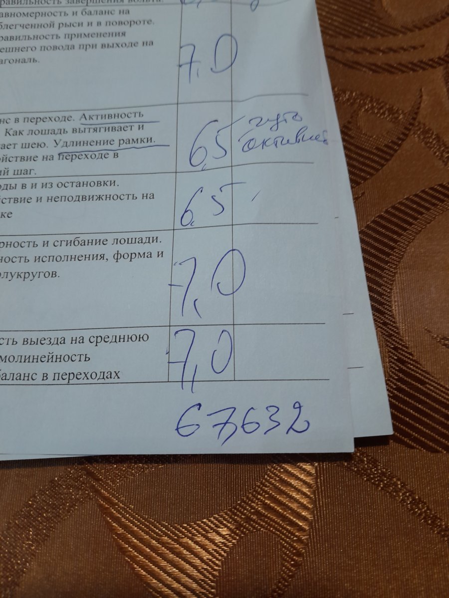 20240128_130231.jpg