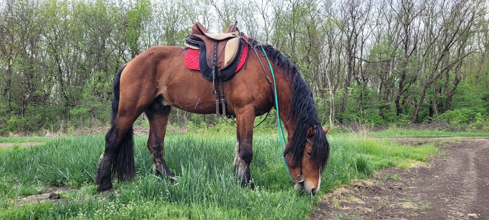 20240419_092525.jpg