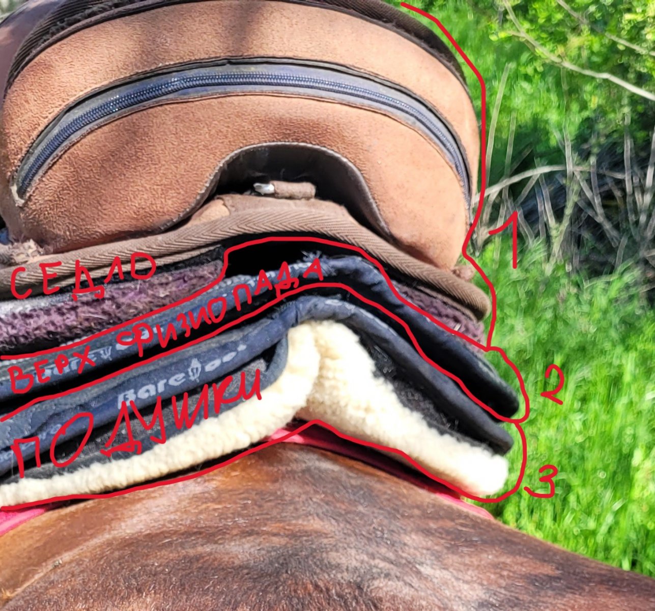 20240423_095400.jpg