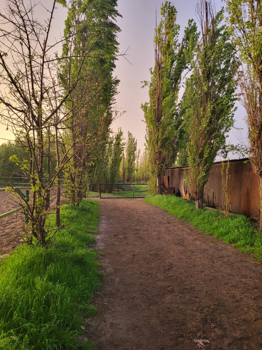 20240424_182751.jpg