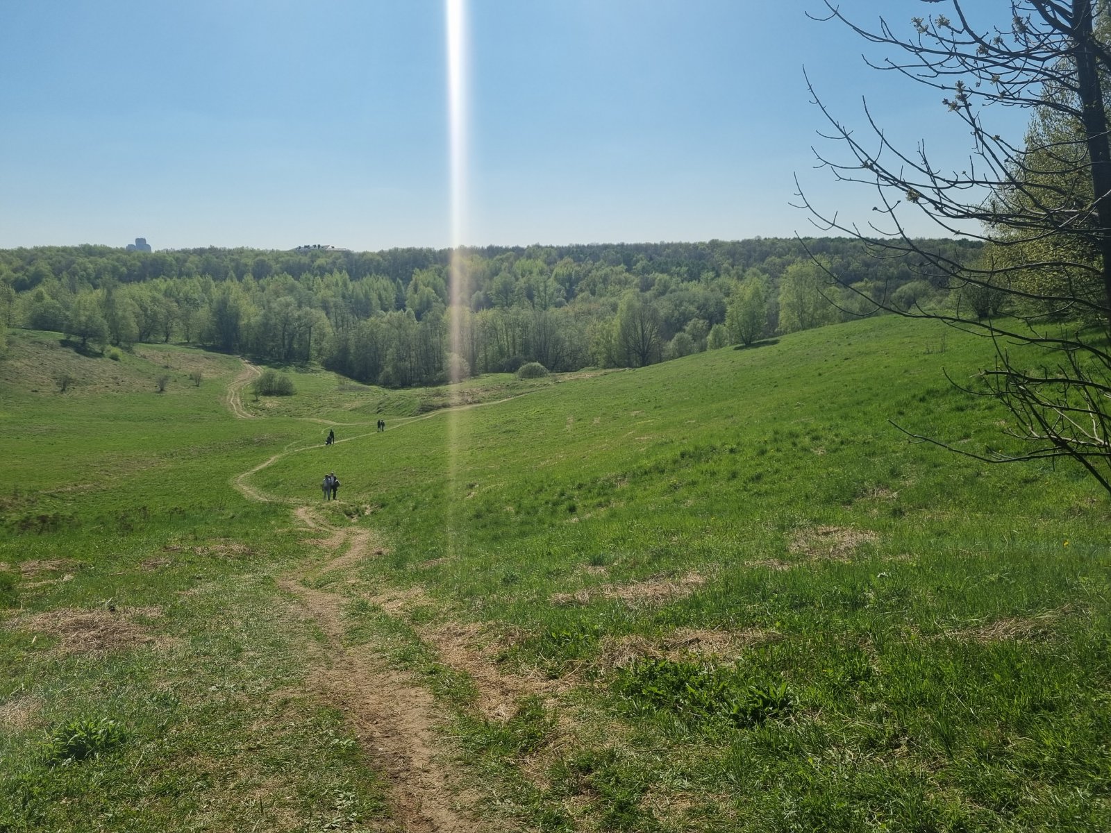 20240429_143220.jpg