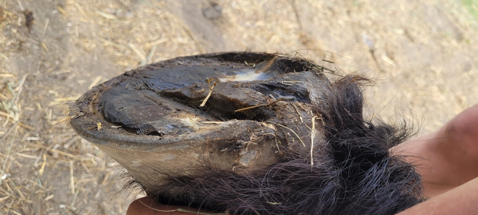 20240502_170522.jpg