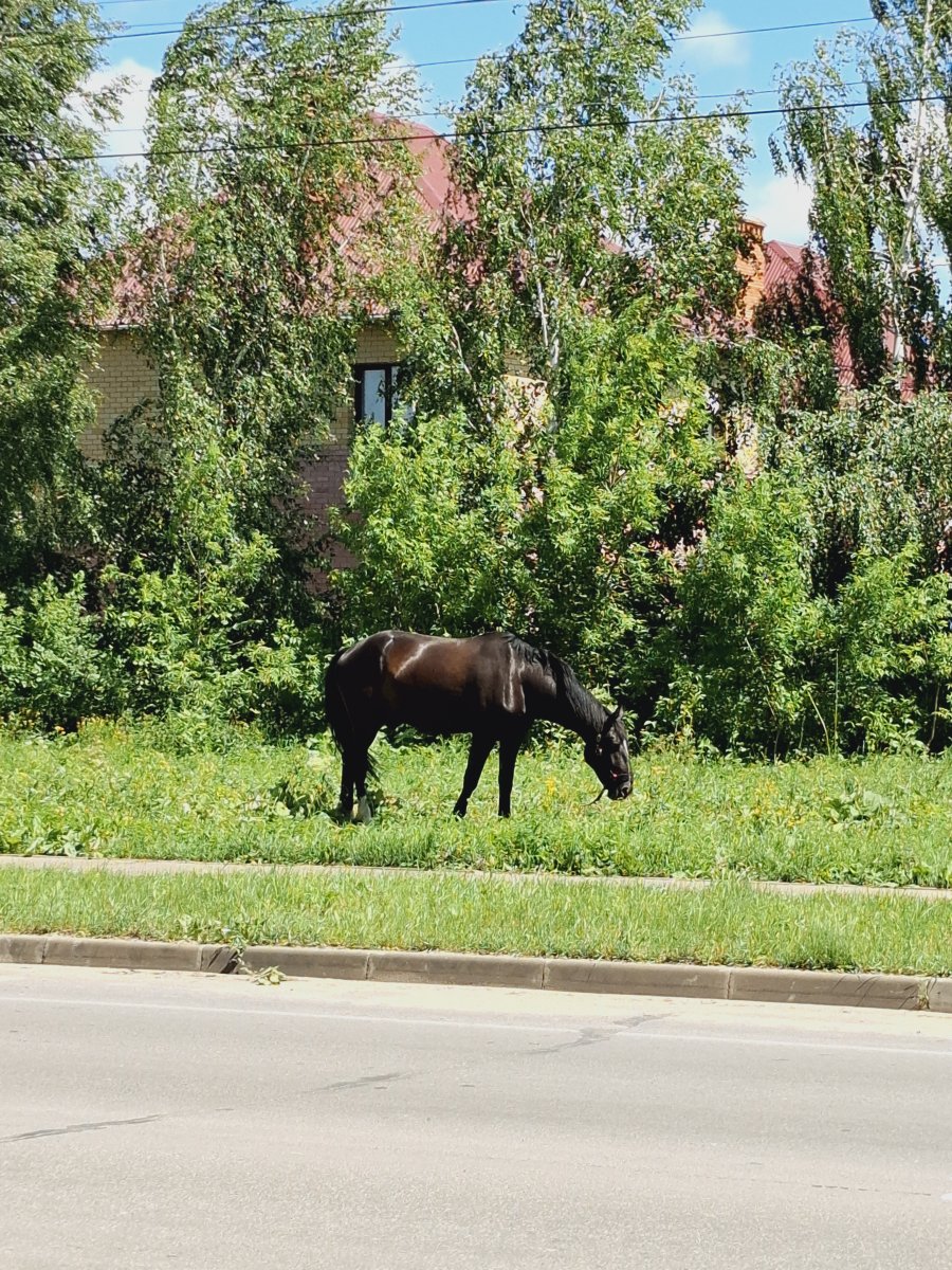 20240619_115900.jpg