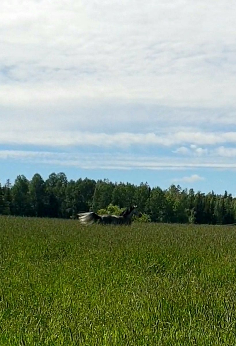 20240620_193614.jpg