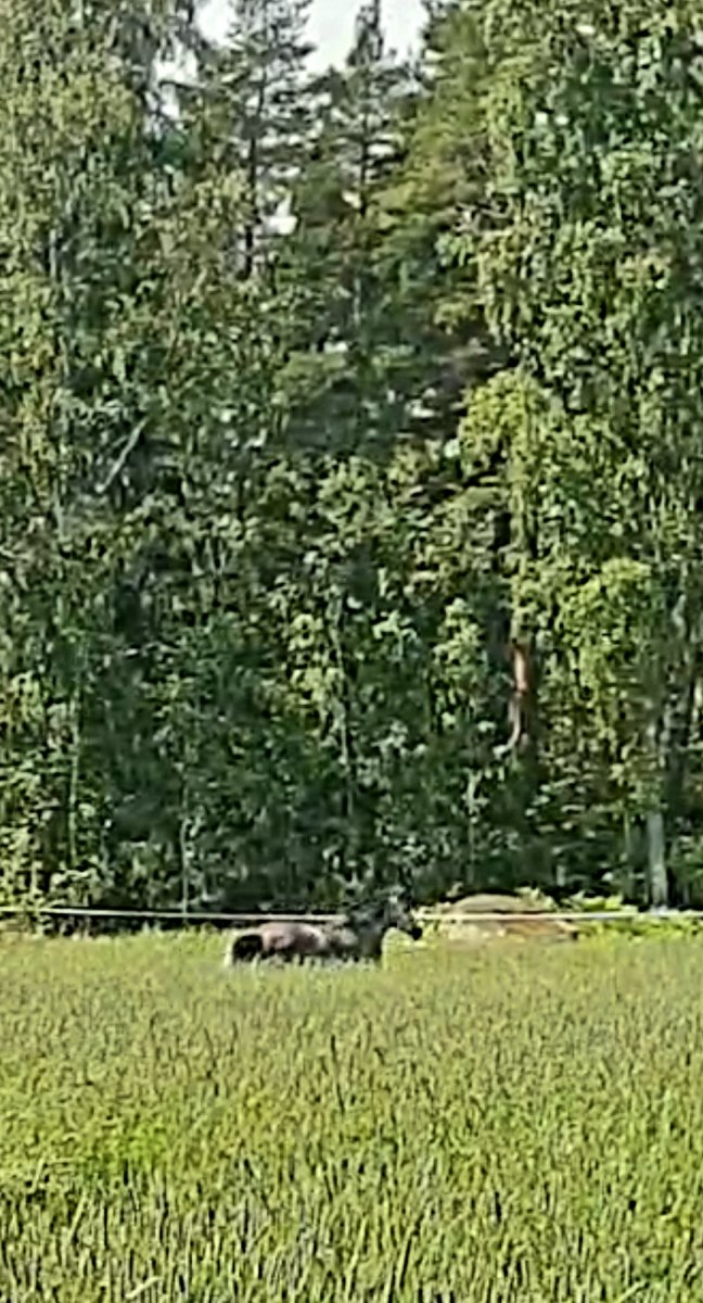 20240620_193937.jpg