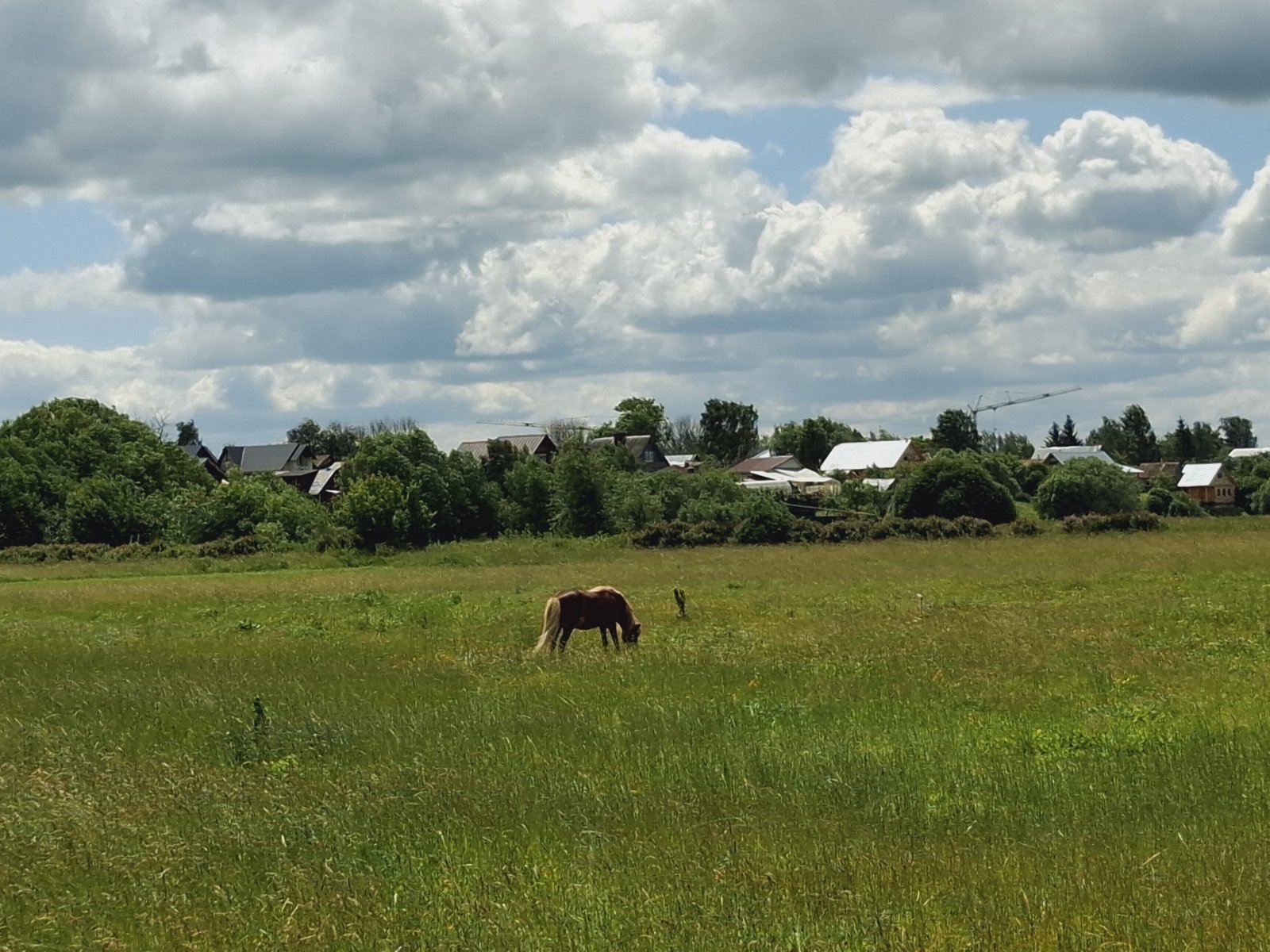 20240621_122811.jpg
